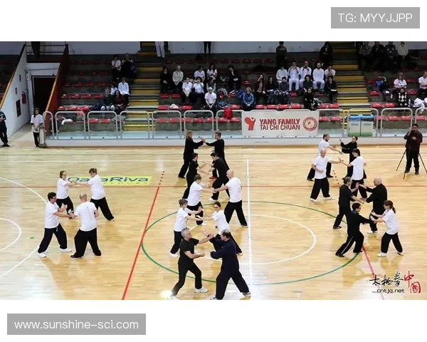 对话杨军:回顾排球生涯的辉煌与挑战与未来展望